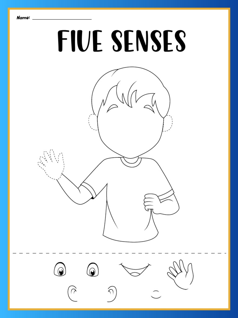 5 Senses Printable Worksheets | PDF | Taste | Senses
