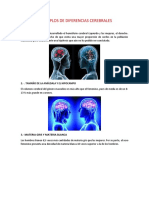 5 ejemplos diferencias cerebrales