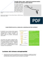 Objetivo D. Lesiones de Motoneuronas Superior e Inferior