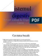 Sistemul Digestiv - Proiect