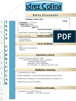 Curriculo de Jandrez Colina