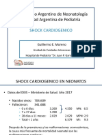 Shock cardiogénico en neonatos