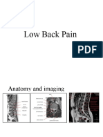 Low Back Pain + Spinal Stenosis