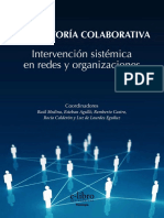 Consultoria Colaborativa y Sistemica