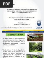 1997 TesisFernandoBermudez | PDF
