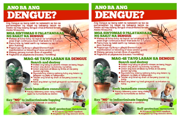 Dengue Flyer Pdf