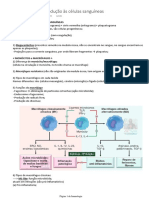 Introdução às células sanguíneas e seus tipos