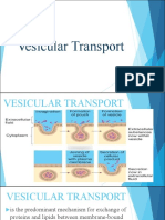 Vesicular Transport (Group 3)