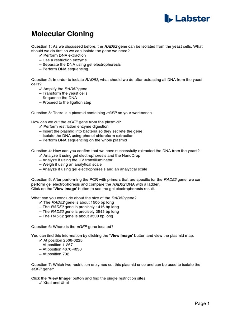 Questions Molecular Cloning PDF Plasmid Transformation