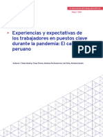 OIT - Estudio Perú - 2022