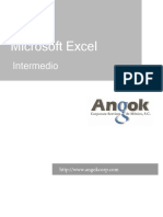 Angok Manual Excel - Intermedio