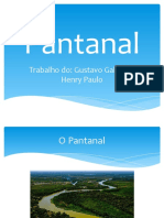 O bioma Pantanal: localização, clima, fauna e flora