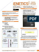 Cytogenetics Topic 9