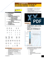 Cytogenetics Lecture 06