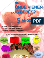 Proyecto de Donde Vienen Los Bebes