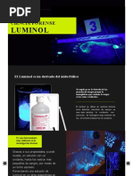 Prueba de Luminol para Detectar Sangre | PDF | Fluorescencia | Química