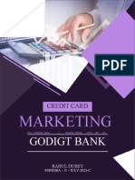 Business Report - 2 (GODIGIT Bank)