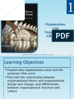 Organization Theory Chapter 1 PowerPoint