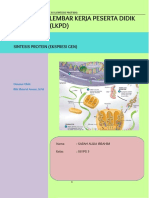 Sintesis Protein (Ekspresi Gen)