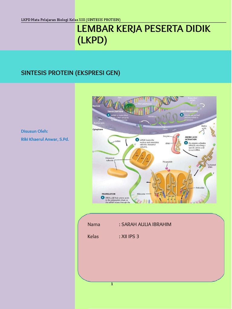 LKPD Sintesis Protein Biologi Kelas XII | PDF | Kesehatan Holistik ...
