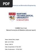 LAM 24 - Natural Convection Heat Transfer - Informal Report - Benita - COMMENTED