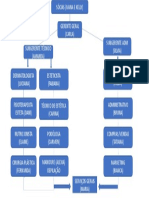 Organograma Plano de Negocios