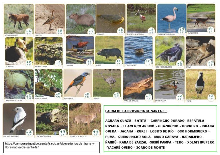 Abecedario de Fauna Santafesina | PDF
