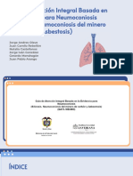 Guía integral para neumoconiosis