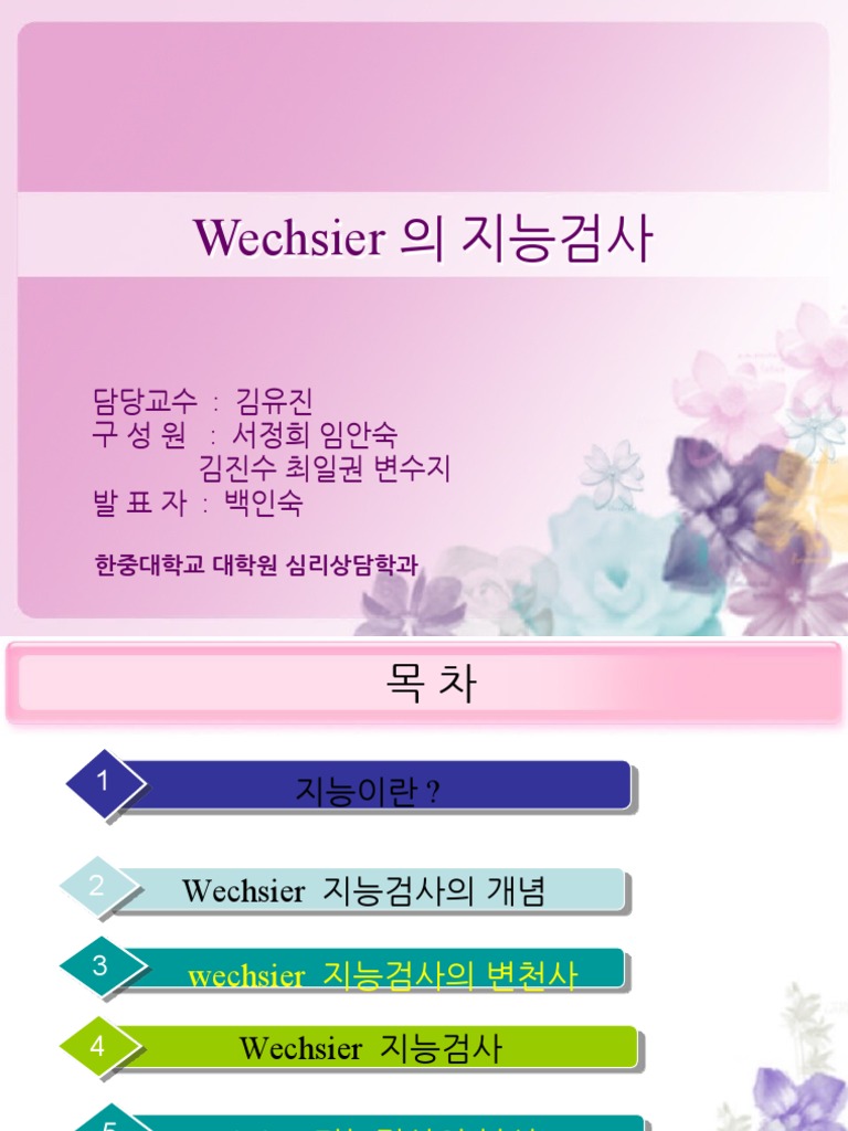 웩슬러 지능검 | PDF