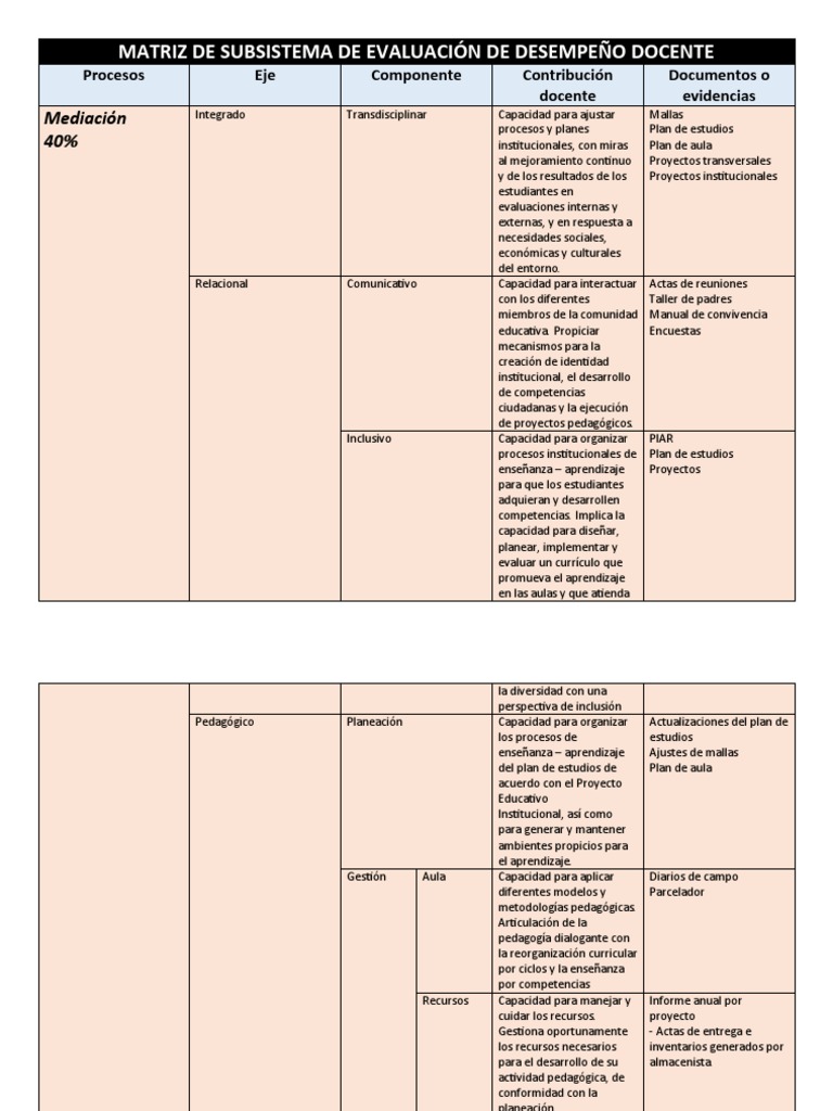 Matriz de Evaluación Docente 2024 | PDF | Plan de estudios | Evaluación