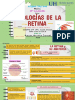 Patologias de La Retina