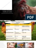 Enfermedades Virales en Aves