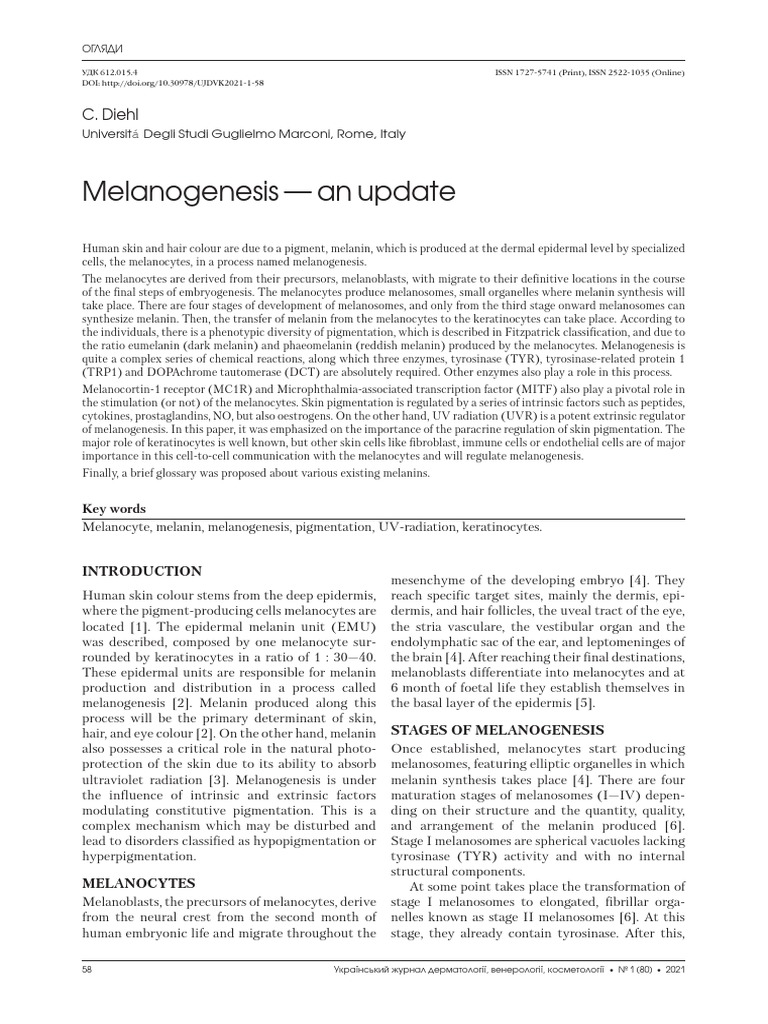 ujdvc-0121-pdf-epidermis-human-skin-color