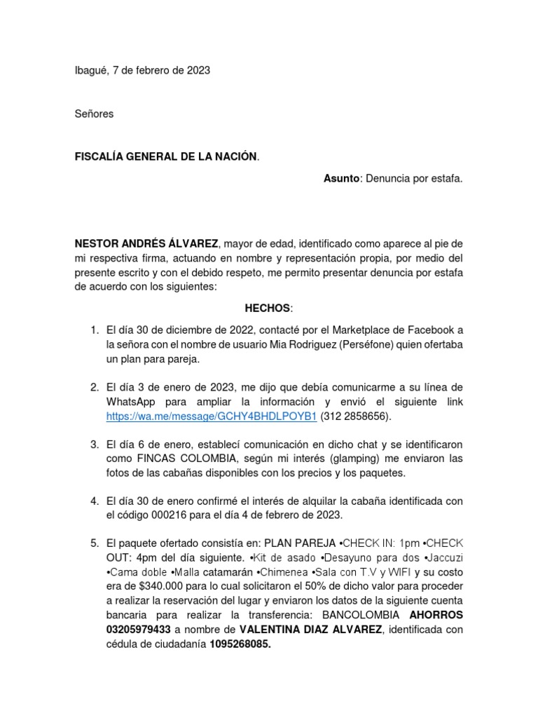 Denuncia por estafa a través de redes sociales y transferencias