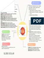 Globo Ocular