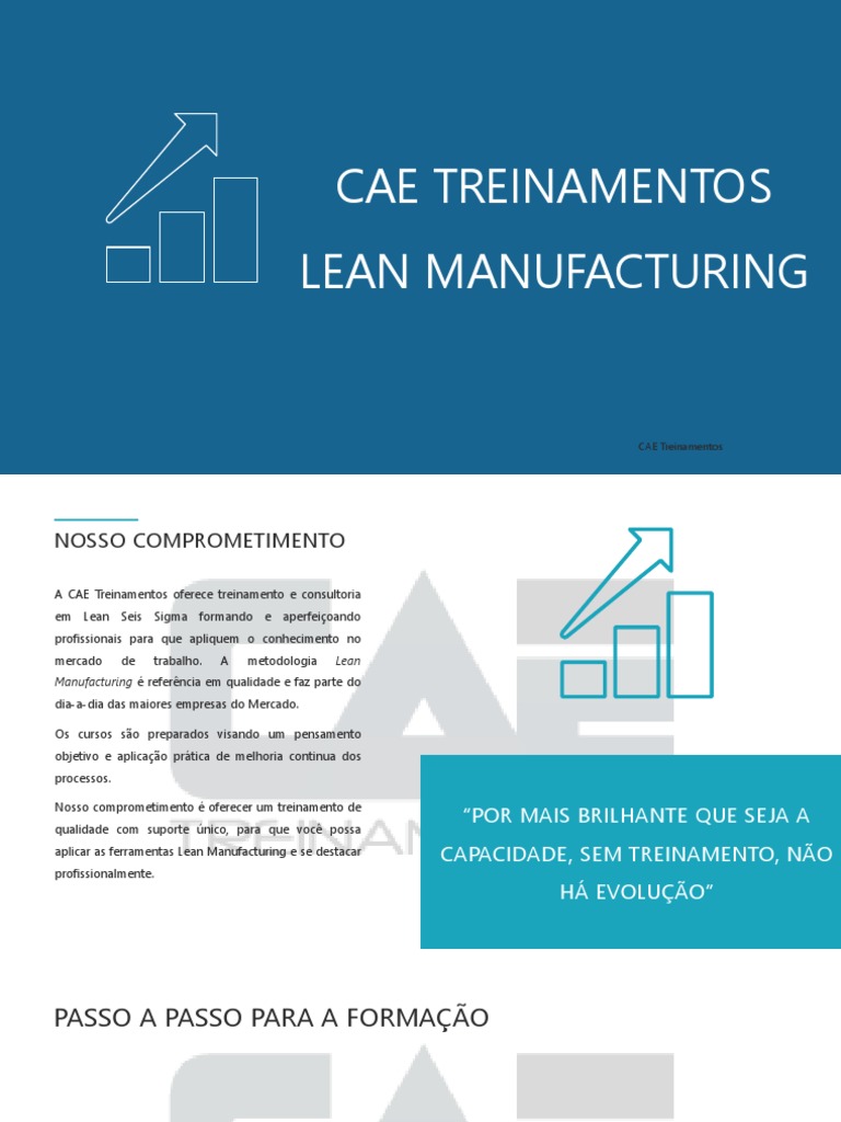 TREINAMENTO LEAN MANUFACTURING | PDF | Fabricação enxuta | Produção e ...