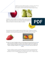 Frutas comestibles: manzana, banana, pera, mango y fresa