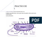 Trabajo Practico de Biologia