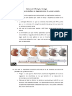 Clase 8. Trastornos Acido - Base en El Paciente Renal.