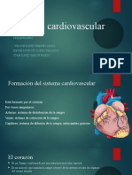 Sistema Cardiovascular