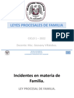 Presentación Incidentes en Materia de Familia. Leyes Procesales de Familia