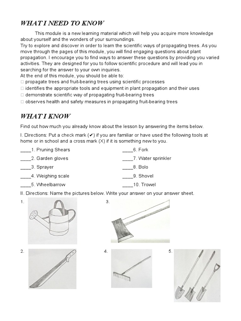 Learners Tool Kit Week 5-Day 1 | PDF | Grafting | Plant Reproduction