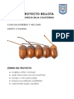 Proyecto Bellota-1