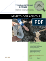 Nematologia p3 Mesa 3