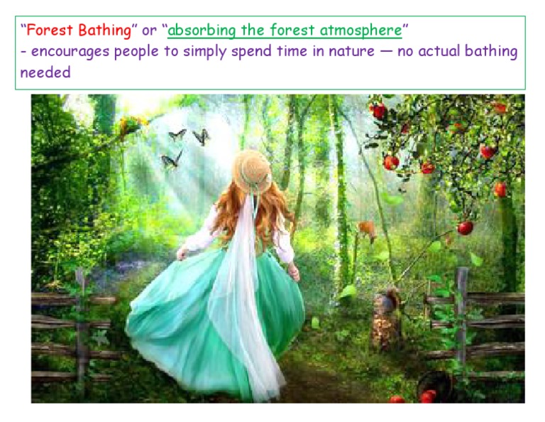 Forest Bathing PDF