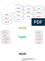 Noun and Its Determiner