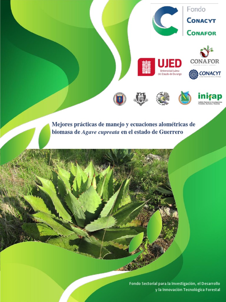 Mejores Practicas de Agave Cupreata | PDF | Los bosques | Sistema de ...