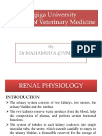 Jigjiga University College of Veterinary Medicine: by DR Mahamud A. (DVM, MSC)