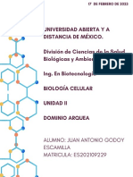 Introducción Al Dominio Arquea.