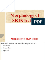Morphology of SKIN Lesions